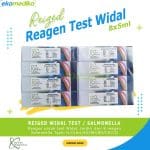 Reagen Widal Test REIGED Diagnostics / Salmonela 8 Vial 1 Set Salmonella